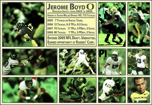 11_NEW boydORG collage